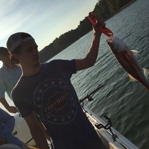 Meet your Posher, Hunter